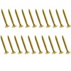 M4 x 30mm Door Hinge Brass Screws Replacement (Pack of