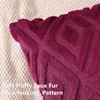 Pallene Soft Faux Fur Throw Pillow Covers 22x22 Set of