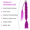 Purple Hair Extensions Pre-Braids Braiding Hair for Cosplay Halloween Stage
