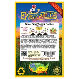 Everwilde Farms - 20 Organic Fava Broad Windsor Fava Bean Seeds - Gold Vault Packet