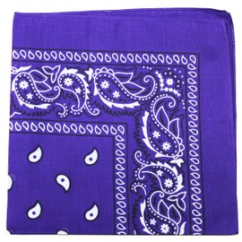 Pack of 48 Paisley Cotton Bandanas Novelty Headwraps - Bulk Wholesale - 22 inches
