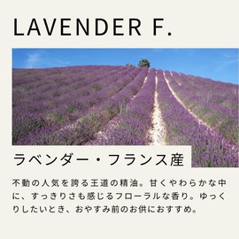 Seihonen no Ki Lavender France-made Essential Oil 10ml Aroma Oil Natural Essential Oil AEAJ Display Standard Compliant Certified Essential Oil