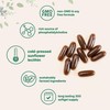 Micro Ingredients Sunflower Lecithin 1,600mg Per Serving, 300 Softgels |