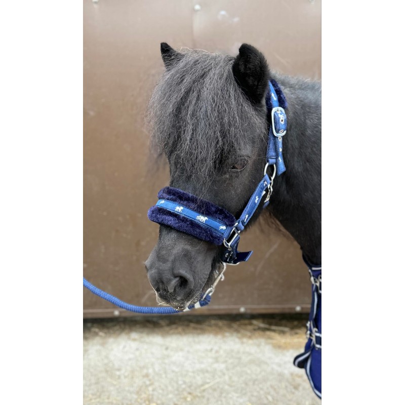 Equipride Horse Print Faux Lined Nylon Headcollars with Matching Lead