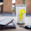 Looney Tunes Tweety Stainless Steel Insulated Tumbler