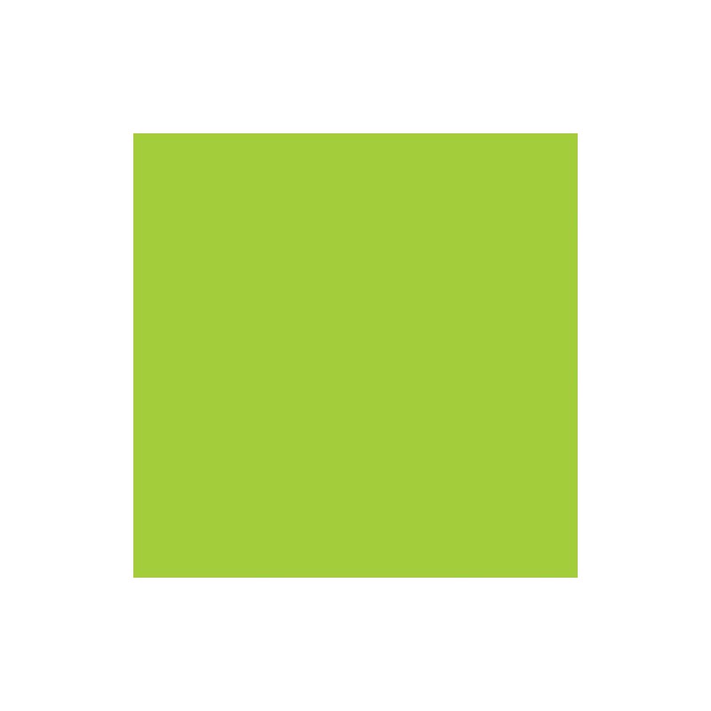 Dylusions DYLSINS Ink SPRY 2OZ PAR, Island Parrot