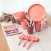 FOODLE Wheat Straw Dinnerware Set - BPA Free & Safety