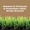 Scotts Turf Builder Weed & Feed for Texas Lawns, Weed