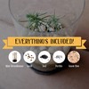 Bonsai Tree Grow Kit | Japanese Black Pine | White