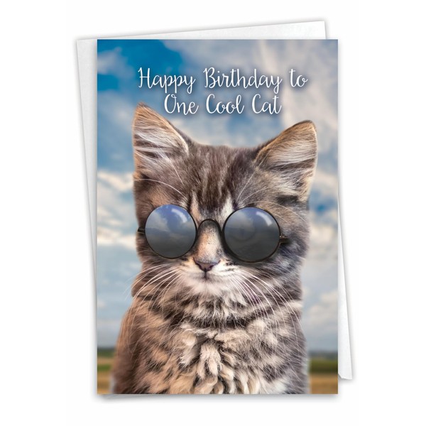 The Best Card Company - 1 Cat Birthday Greeting Card with Envelope - Cute Kitten Stationery, Bday Notecard - Kool Kitties C6891EBDG