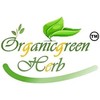 METROL METROL ORGANICGREEN HERB HADJOD Bone & Joint | CISSUS