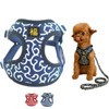 JOYFUSION Harness for Dogs, Arabesque Pattern, Dog Harness and Lead