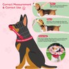 Dog Cone Soft Surgery Dog Cone Collar - Adjustable Long