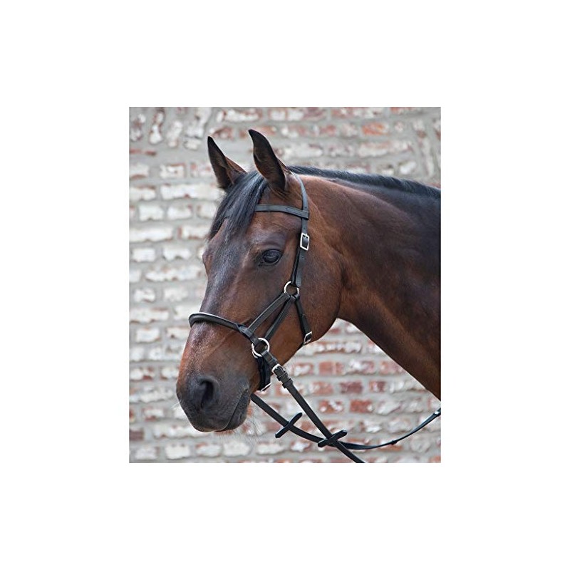 Waldhausen LTJ Lindel TellingtonJohnes Bitless Bridle Size / Colour VB/Black