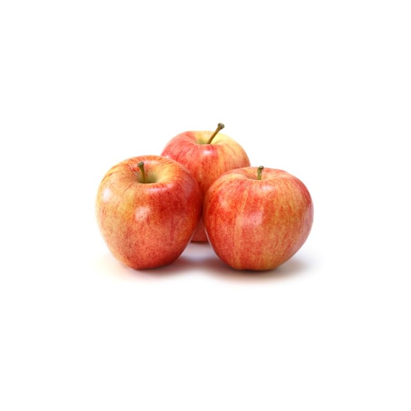 American Plant Exchange Live Gala Apple Tree, Fruit-Bearing Plant Pot