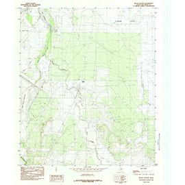 Texas Maps - 1984 Pecan Station, TX - USGS Historical Topographic Wall Art - 37in x 44in, Large Wall Art Map