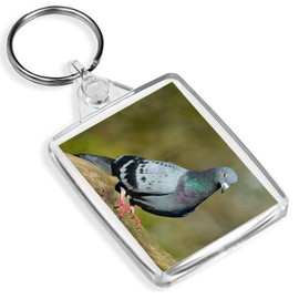 Destination Vinyl Keyrings Funky Grey Pigeon Keyring Ornithology Twitcher Fun Keyring #15752