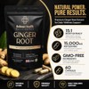 Ginger Root Extract 15:1 Capsules | 1000mg Extract | Equivalent