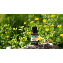 GuruNanda Eucalyptus Essential Oil - Pure Therapeutic Grade Oil for Nasal Congestion Relief, Aromatherapy for Relaxation and Calming Stress, 15 ml