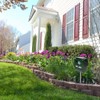 Bird B Gone Solar Yard Shield Animal & Pest Repeller