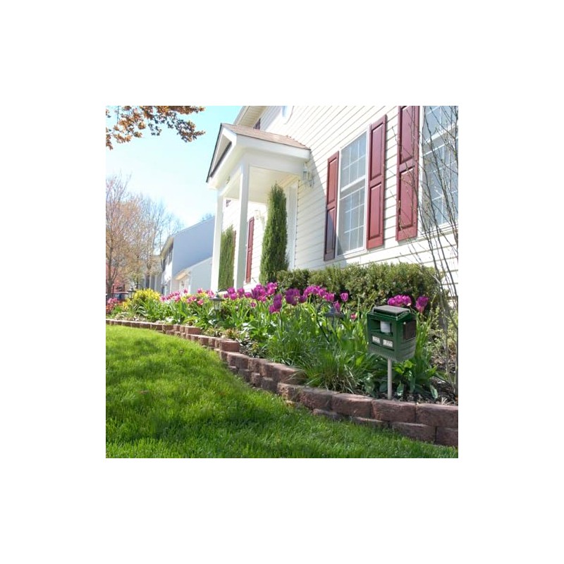 Bird B Gone Solar Yard Shield Animal & Pest Repeller