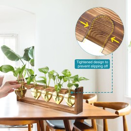 Plant Terrarium Propagation Stations 5 Hear Plant Lover Gift for Women Wife with Wooden Stand Heart Shaped Colored Glass Vase
