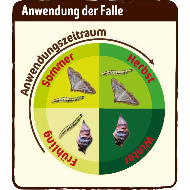 Substral Bio Boxwood Trap System Green 1 Set