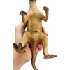 Dinosaur Real Figure Stegosaurus Dinosaurus Triceratops Tyrannosaurus Dilophosaurus Brachiosaurus 1