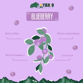 Yak9 Cruncheese Dog Treats, Crunchy High Protein, Low Fat Dog Treats with Yak Cheese, Natural Ingredients, Rawhide Free, Dog Treats for All Breeds, Dog Training Treats, Non GMO, Blueberry