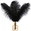 THARAHT Black Ostrich Feathers 12pcs Large Natural Bulk 16-18Inch 40cm-45cm