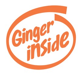 Ginger Inside Funny Car Window Sticker - Dub JDM Jap Campervan Off Road Rat Look