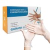 Vinyl Disposable Gloves Pack of 100 Size L Transparent