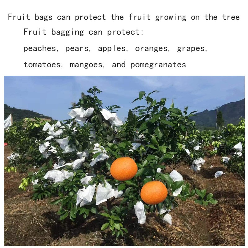 HouWanA Fruit Protection Paper Bags - 100pcs White Protection Covers