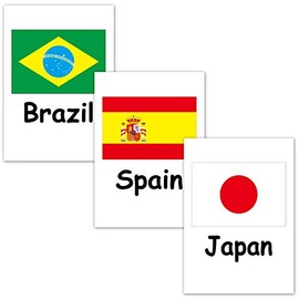 Flash Cards (National Flags) ■ Postcard Size ■ English Card.com Flashcards, English word cards (National flags) ■ Postcard size