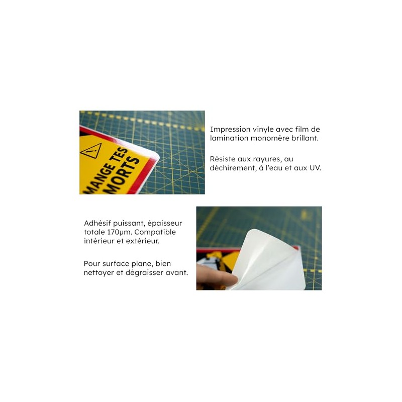 Forget the Dead Humour Parody Blind Spot Sticker Not Approved