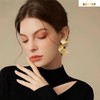 SZJYKF Gold Earrings for Women Exaggerated Statement Geometric Earrings Punk