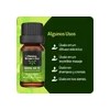 Kit de 5 Aceites Esenciales Original Nature – Aromaterapia Premium