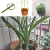 Hanobo 5 Pack Garden Plant Support Rings for Potted Plant,