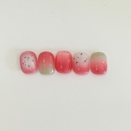 Dragon and Pangpang - Oval / 용과팡팡 - 오벌