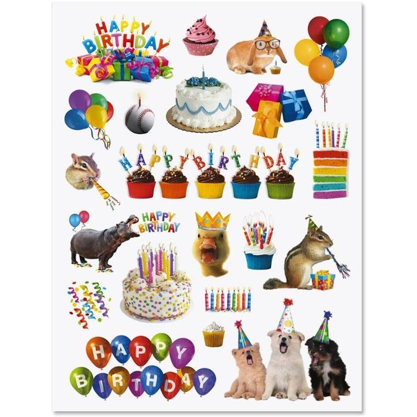 CURRENT Birthday Stickers - 42 Stickers on 2 Sticker Sheets, Happy Birthday Stickers, Birthday Party Stickers