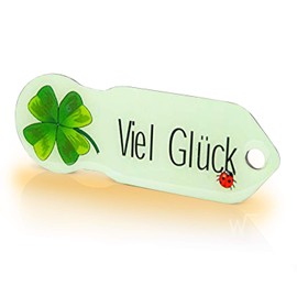 Einkaufswagenlöser ® Code24 Good Luck/Key Fob Shopping Chip with Key Finding Service/Removable Shopping Trolley Token Metal, Chip Shopping Trolley, Key Finder / Pack of 1