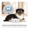 PAWGETHER Stainless Steel Dog Bowls, Dog Food and Water Bowl