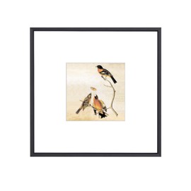 BKABOT 8x8 Picture Frame, Black Metal Square Photo Frames with HD Glass, Fits 5x5 with Mat or 8 x 8 without Mat, Display for Wall and Table, 1 Pack