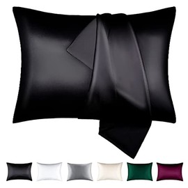 BEIJOEY 100% Mulberry Silk Pillowcase 2 Pack for Hair and Skin,19 Momme 600 Thread Count Natural Silk Pillow Cover Set of 2,with Hidden Zipper,Soft Breathable Smooth (Black, Standard 20''x26'')