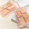 LUNA [LUNA]Conceal Blender Palette #04 Cover Medium