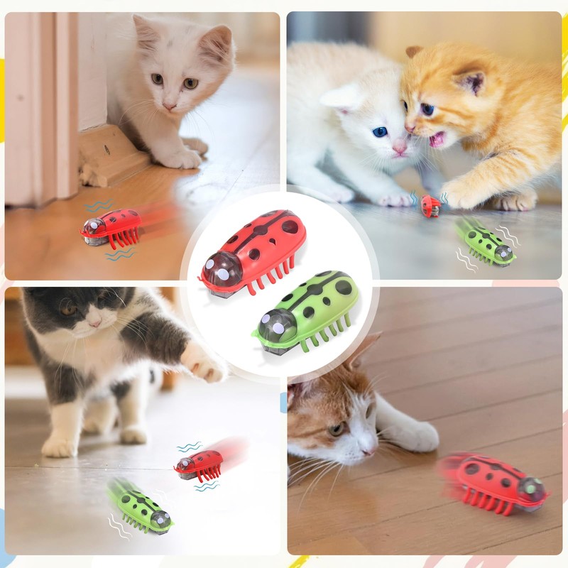 Mini Beetle, Pack of 2 Beetle Cat Toy, Electric Beetle