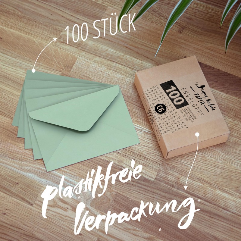 Japun Pack of 100 Paper Envelopes without Window DIN C6