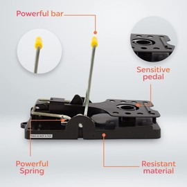 Rataton Traditional Mousetrap Indoor and Outdoor use Kills Immediately Without Making The Rat Suffer Without Poison, it is Reusable and contactless. with Powerful Spring That impacts Strongly. 6 Pack