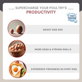 rinlex Dried Mealworms 10 lbs - Organic Chicken Feed for Laying Hens - Wild Bird Seed for Outside Feeders - Bluebird Food - Dried Mealworms for Birds, Dried Mealworms for Ducks, Dried Mealworms for Reptiles