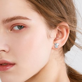 Squirrel Stud Earrings 925 Sterling Silver Cute Opal Little Squirrel Earrings Hypoallergenic Stud Lovely Small Animal Jewelry Gift for Women Friend Squirrel Lovers